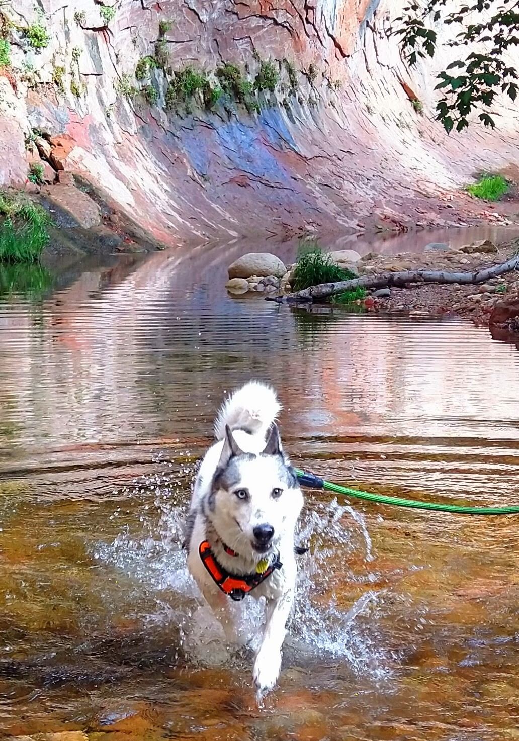 West Fork Trail Sedona