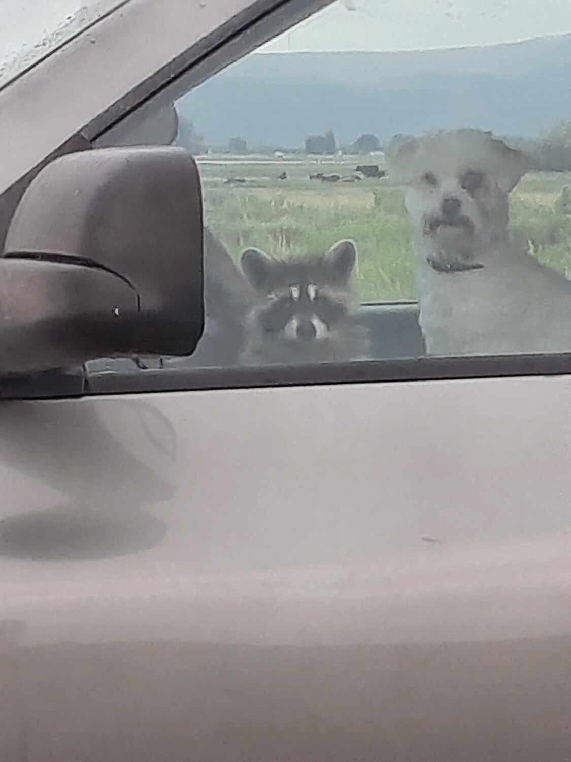 Matilda and Petey Ann