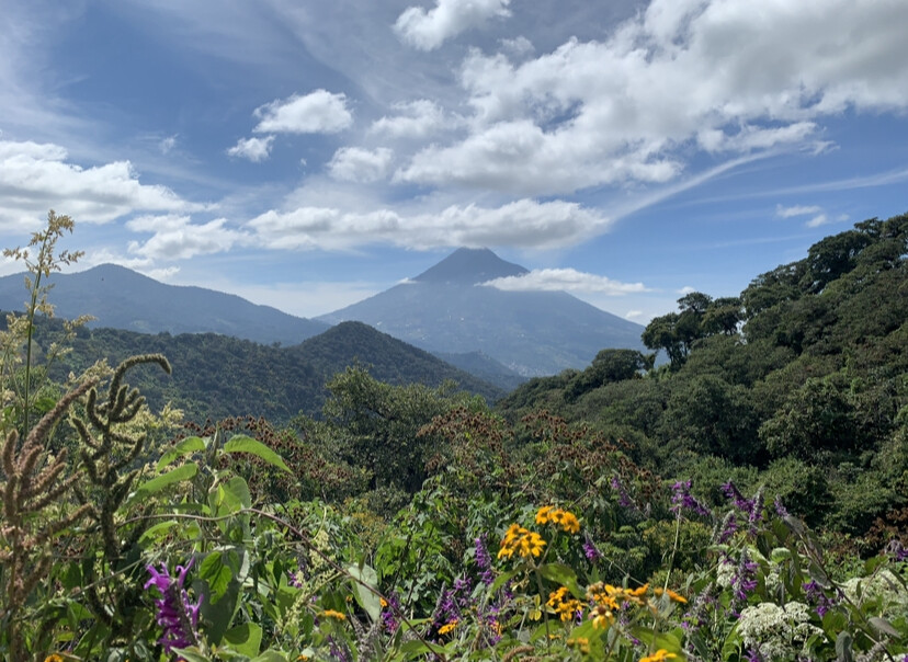 Beauty of Nature at Antigua Guatemala