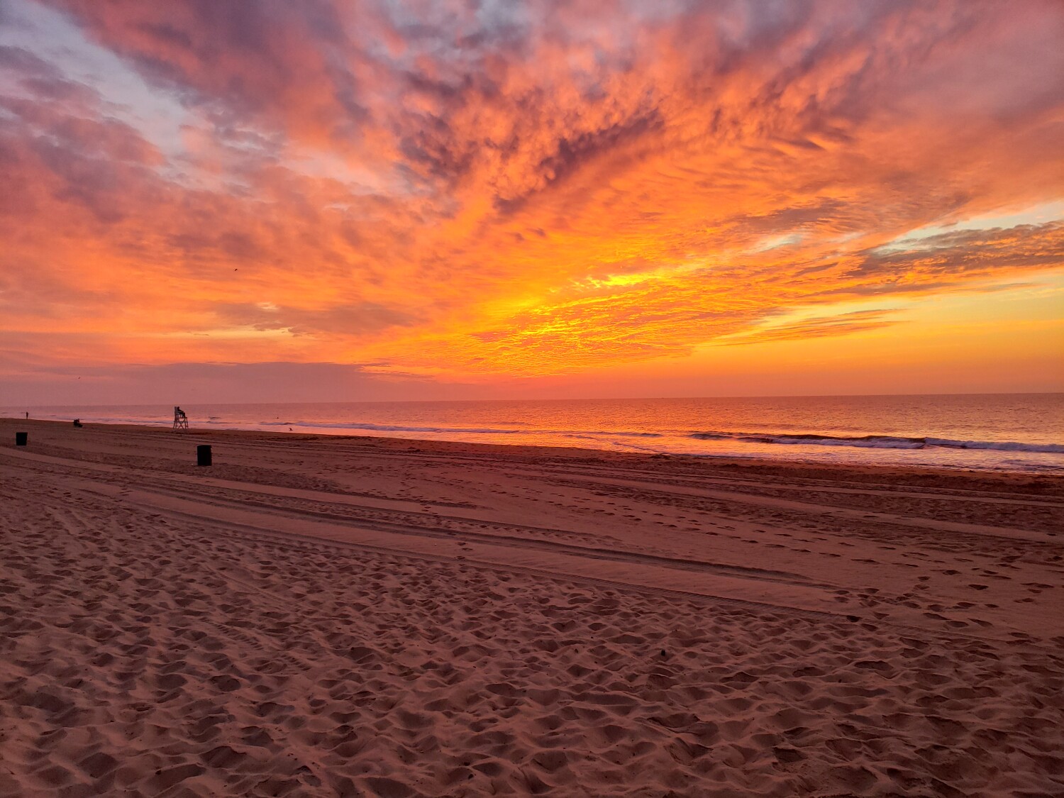 God's early morning Paintbrush