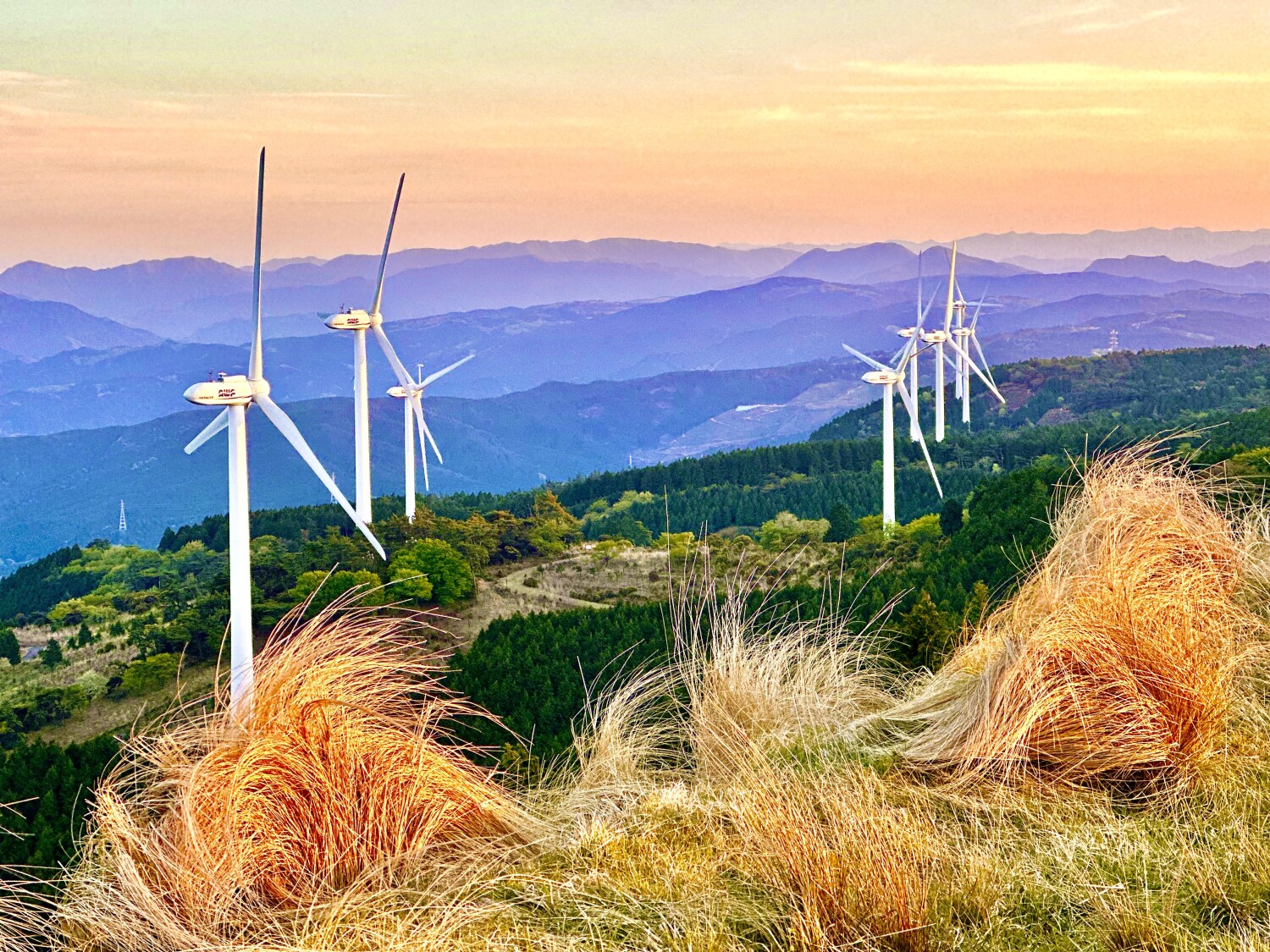 Placid momentous scene