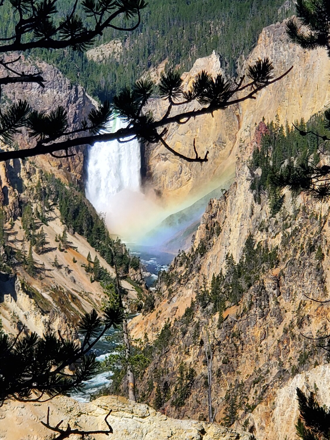 Yellowstone National Park