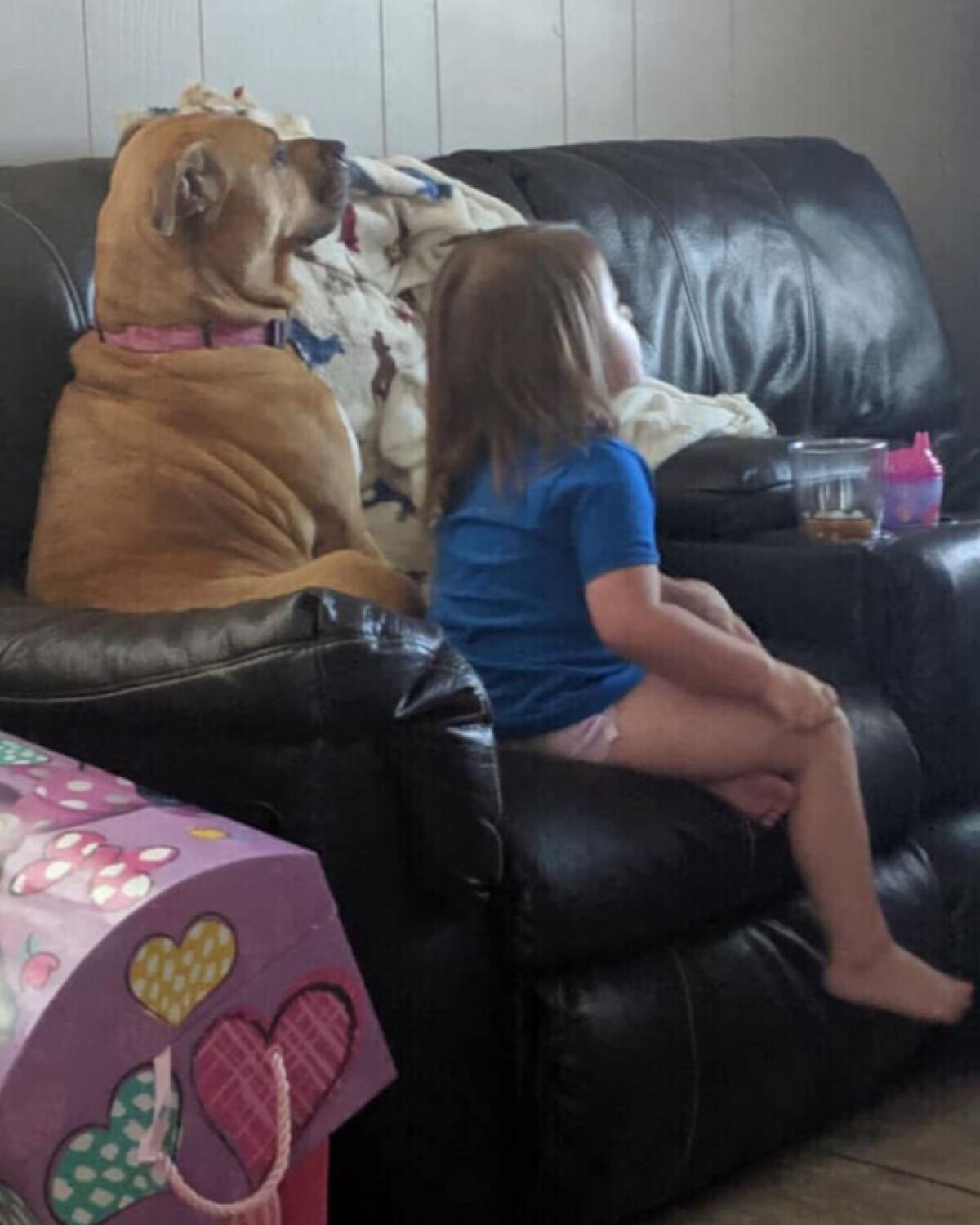 Best Friends