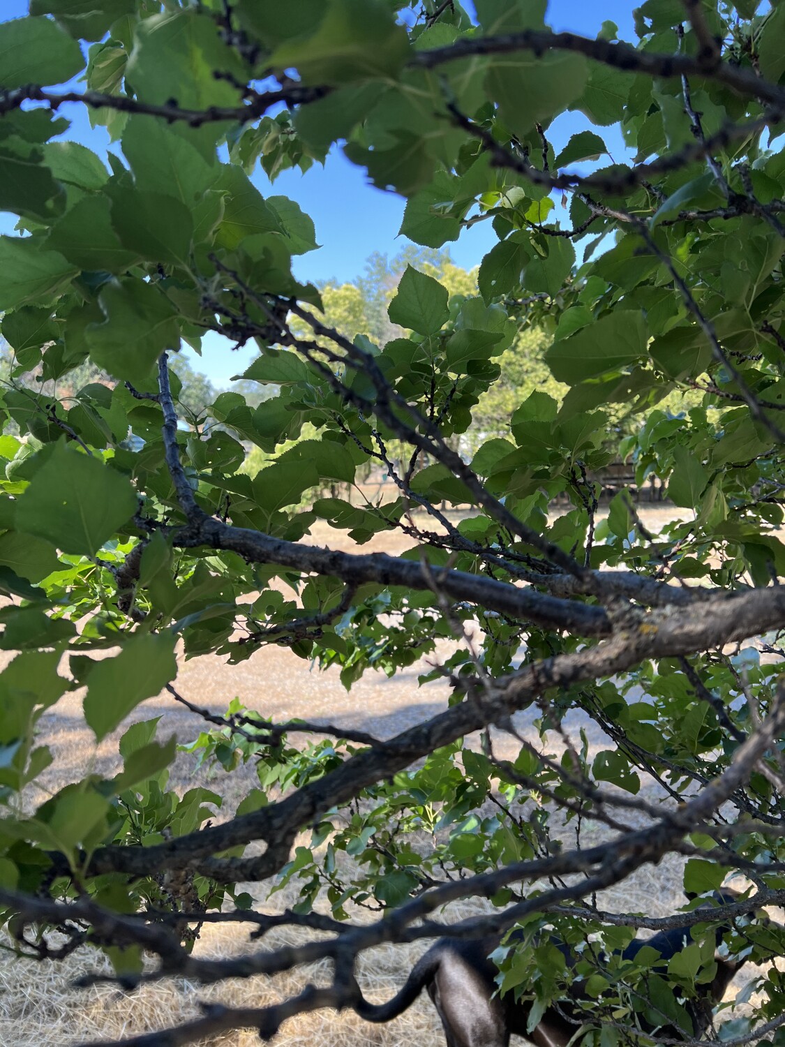 A passerby a place to rest.