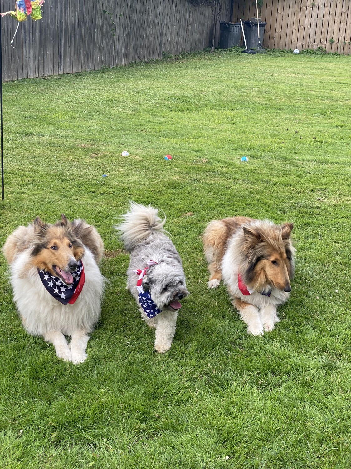 Colo charlie & franklin