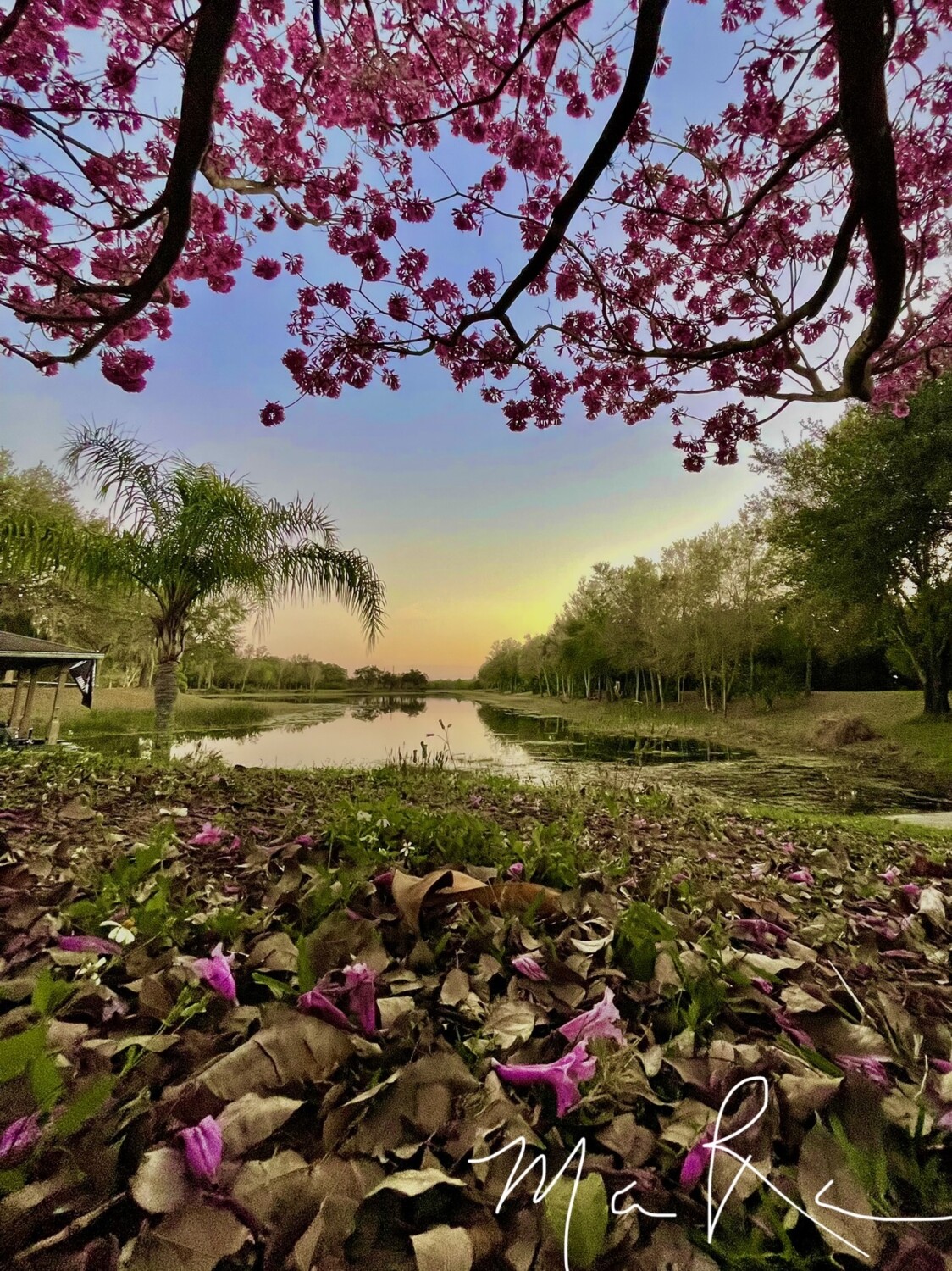 Florida Laker’s Sunset