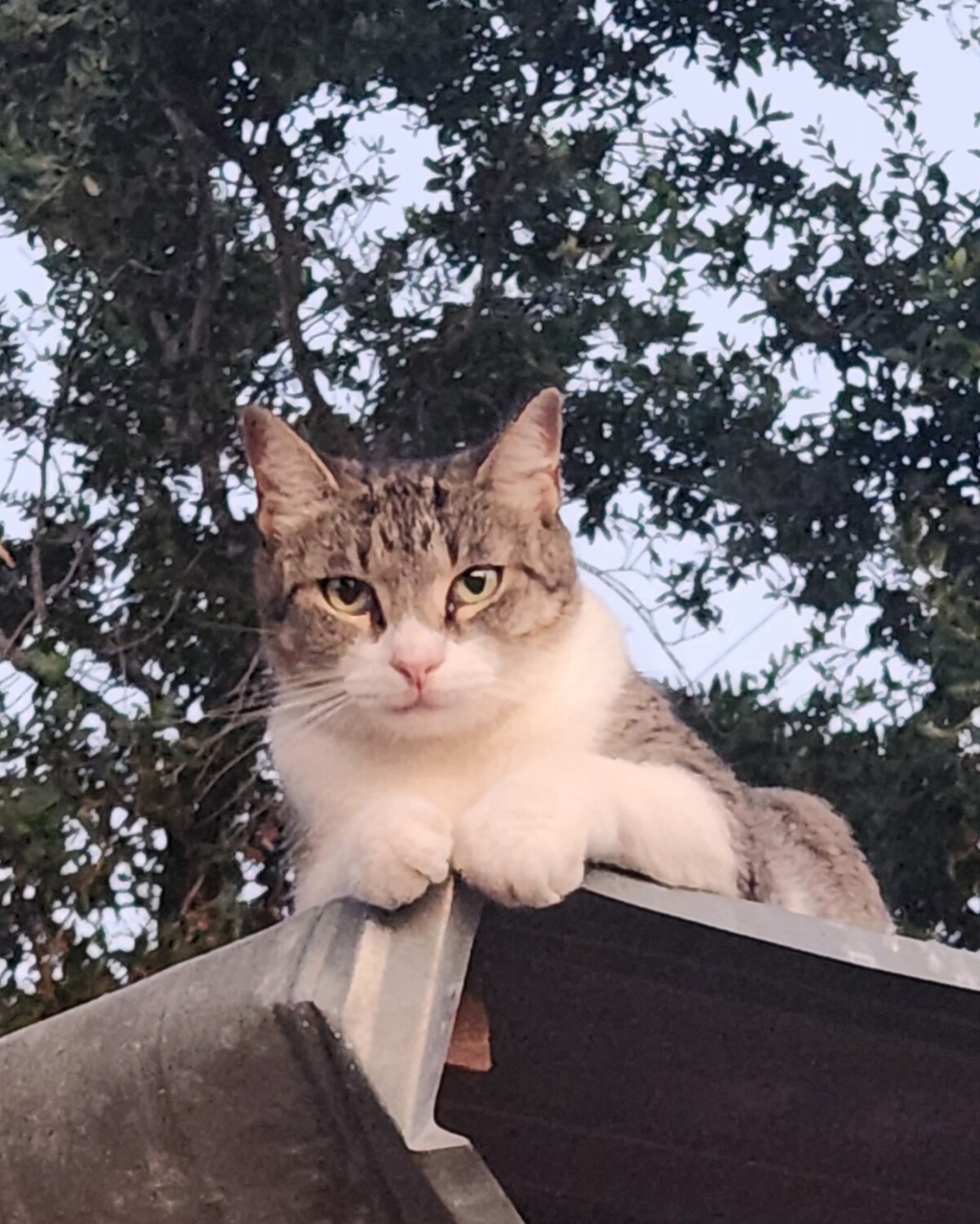 Baby enjoying nature