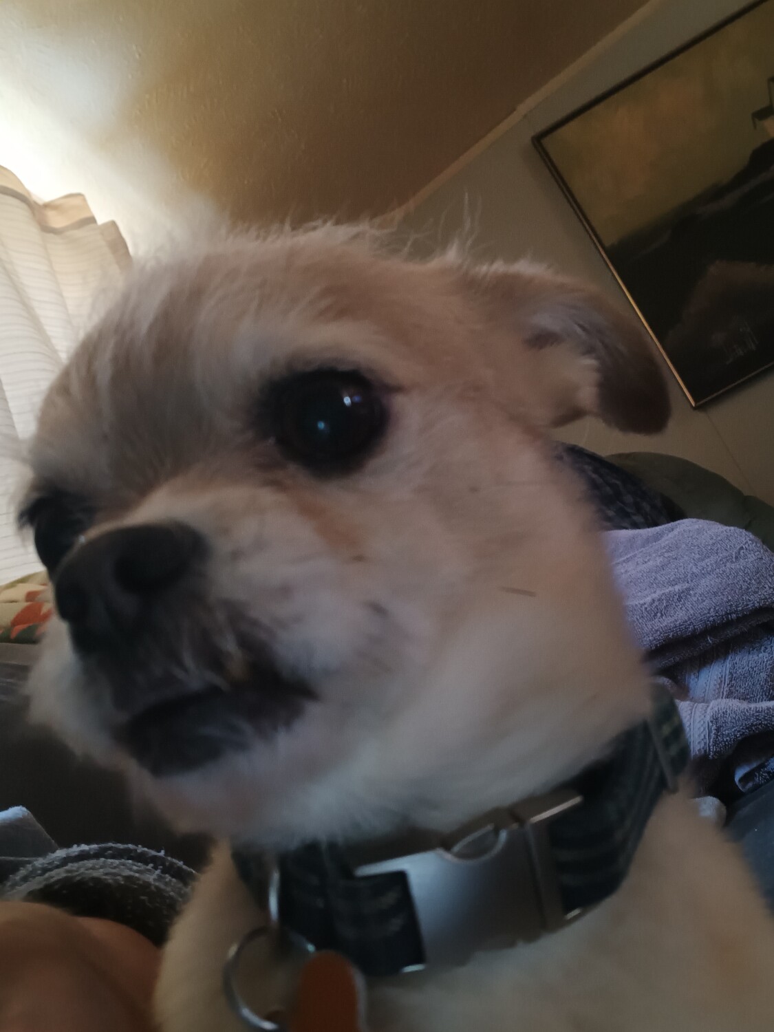 What's going on mom?