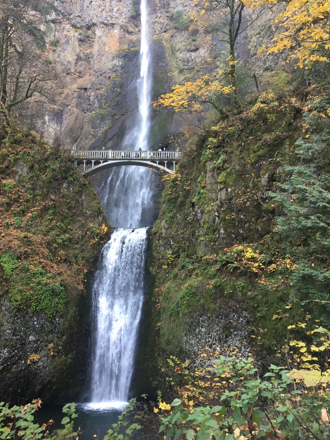Multnomah Falss