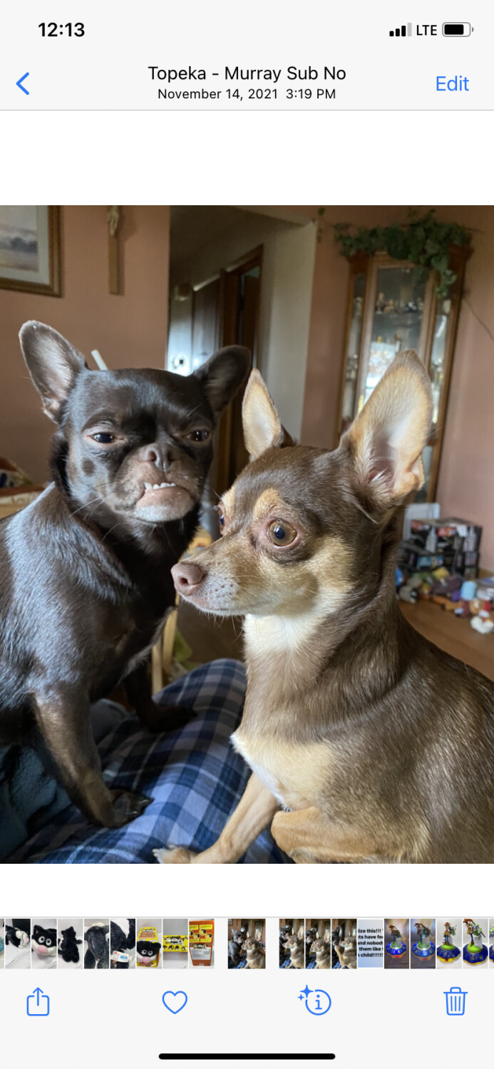 Love hate relationship