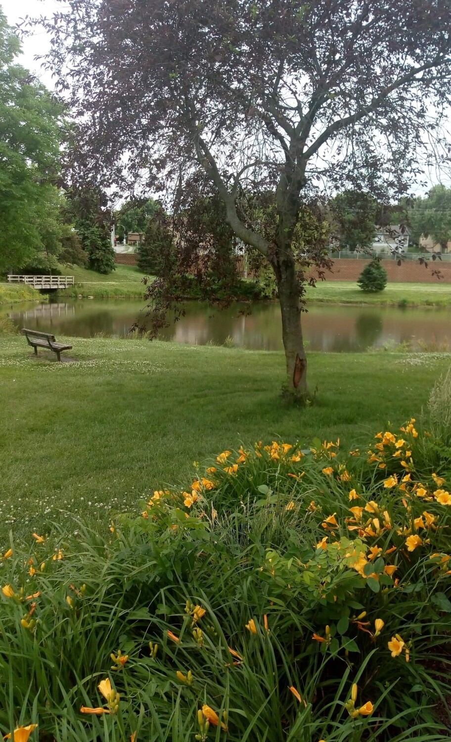 Rambleridge park, Omaha Ne.