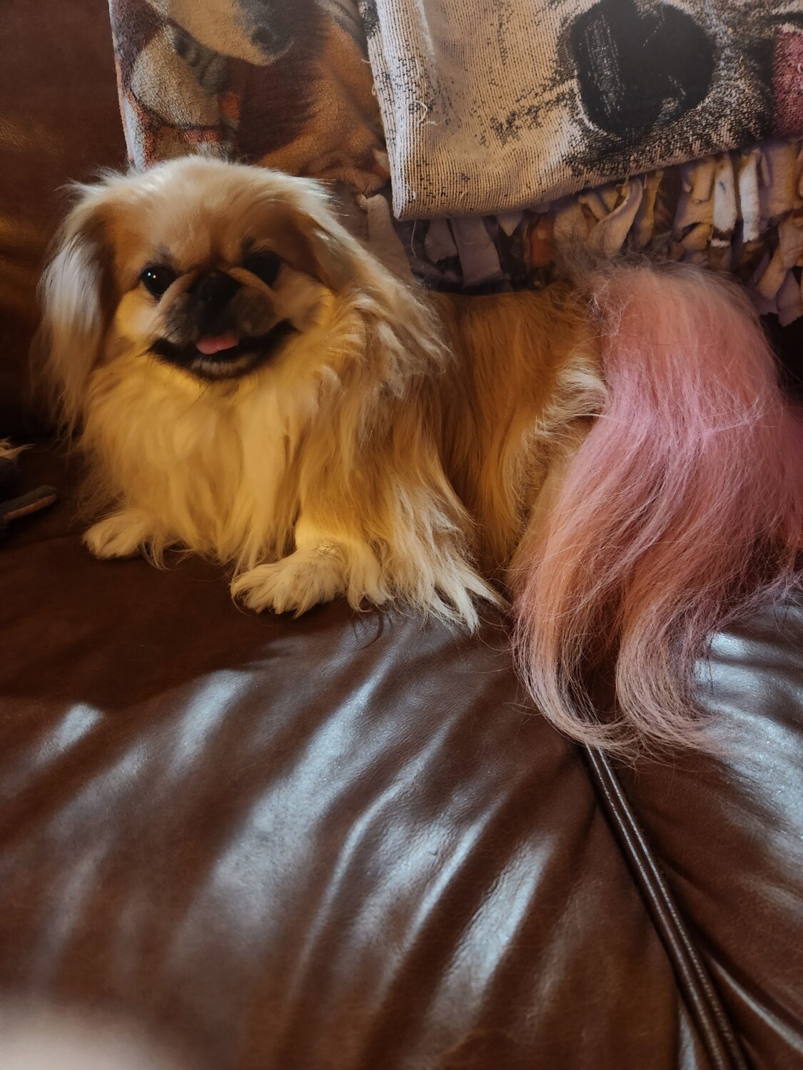 Miss Raina's sassy pose.