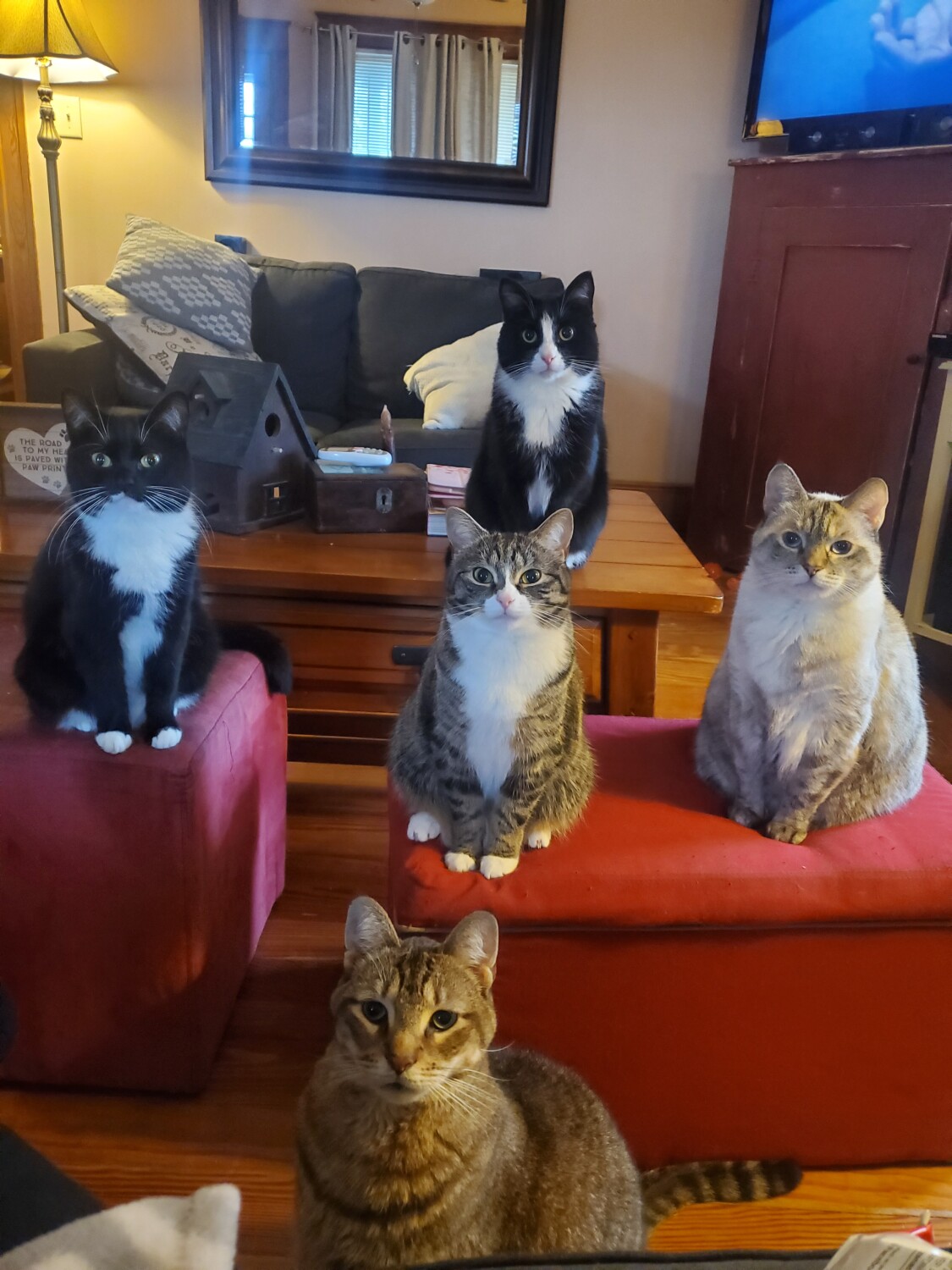 Patience is a virtue