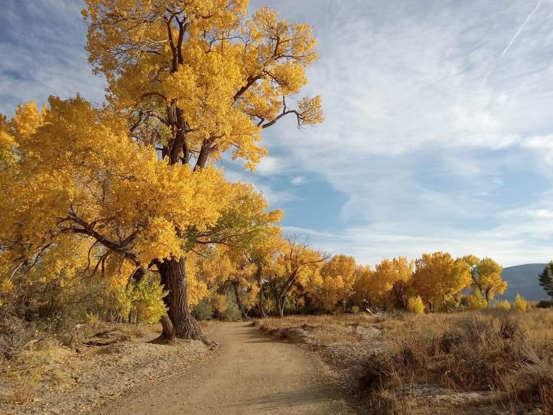 Fall colors
