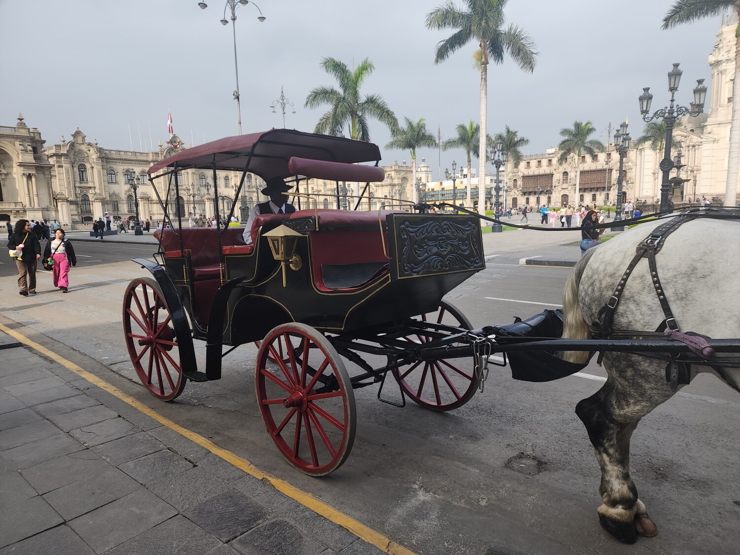 Cabeza en Lima Perú