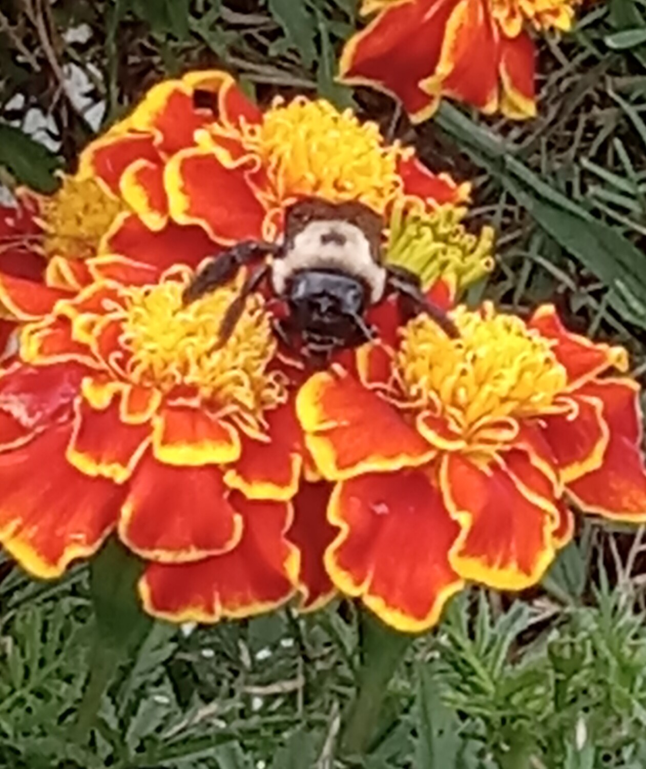 What are you looking at?