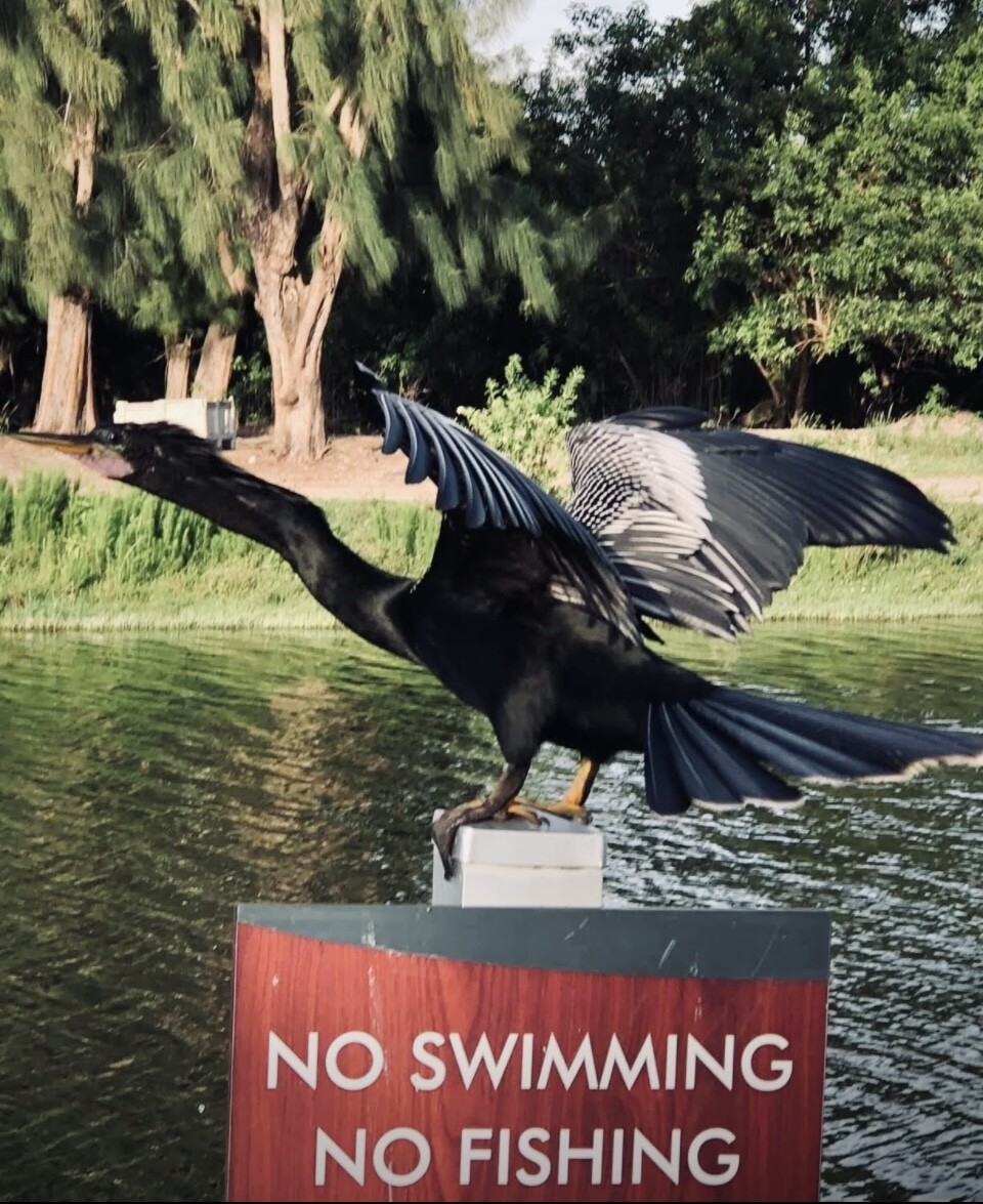 “A Catch-22 Day”