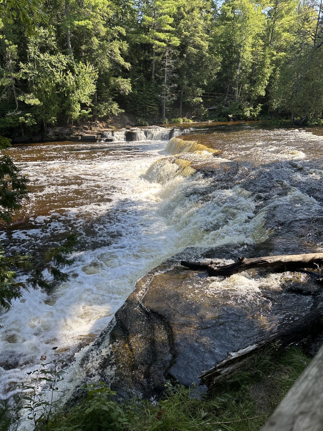 A Glimpse of God's Creation