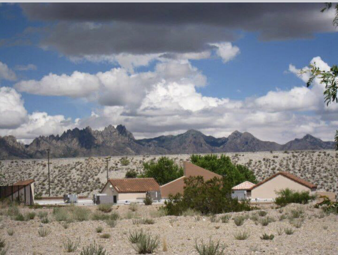 Cloudy day in the desert 🌵