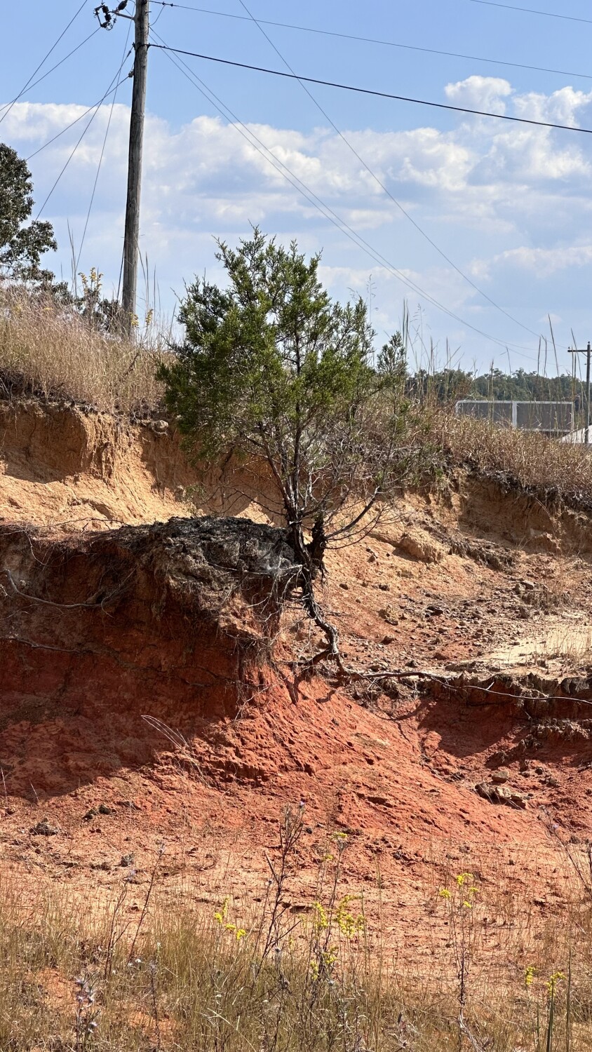 I’m still standing