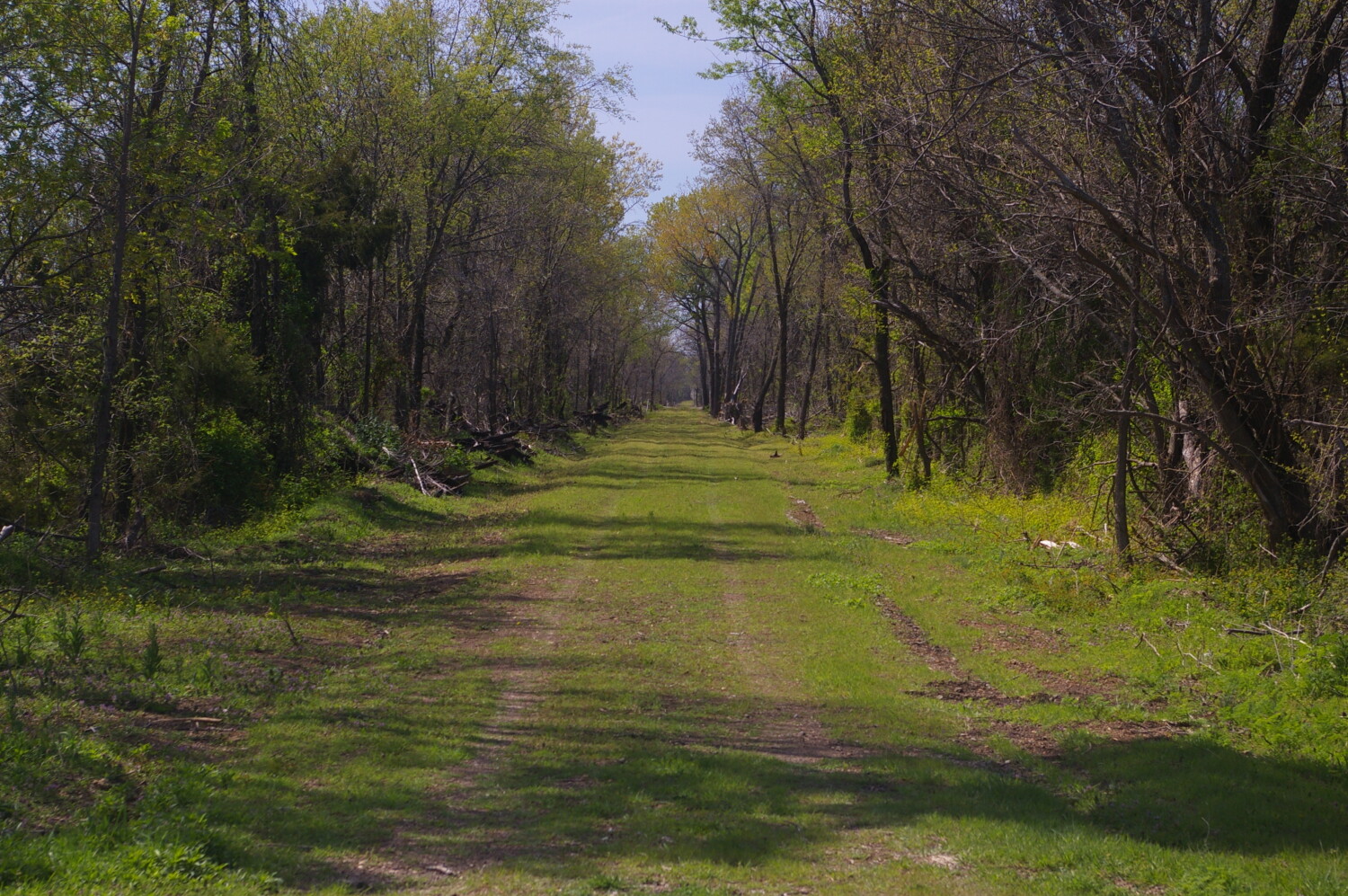 Old Rock Island Line was a Mighty Fine Li e