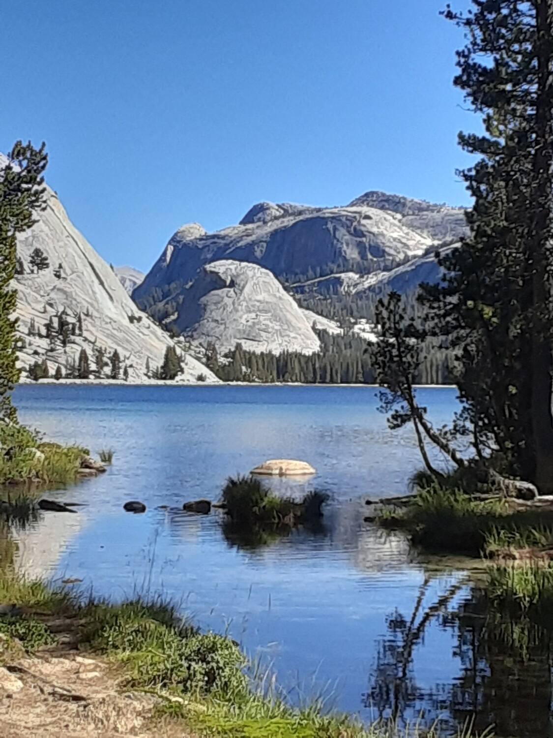 Tenaya Lake
