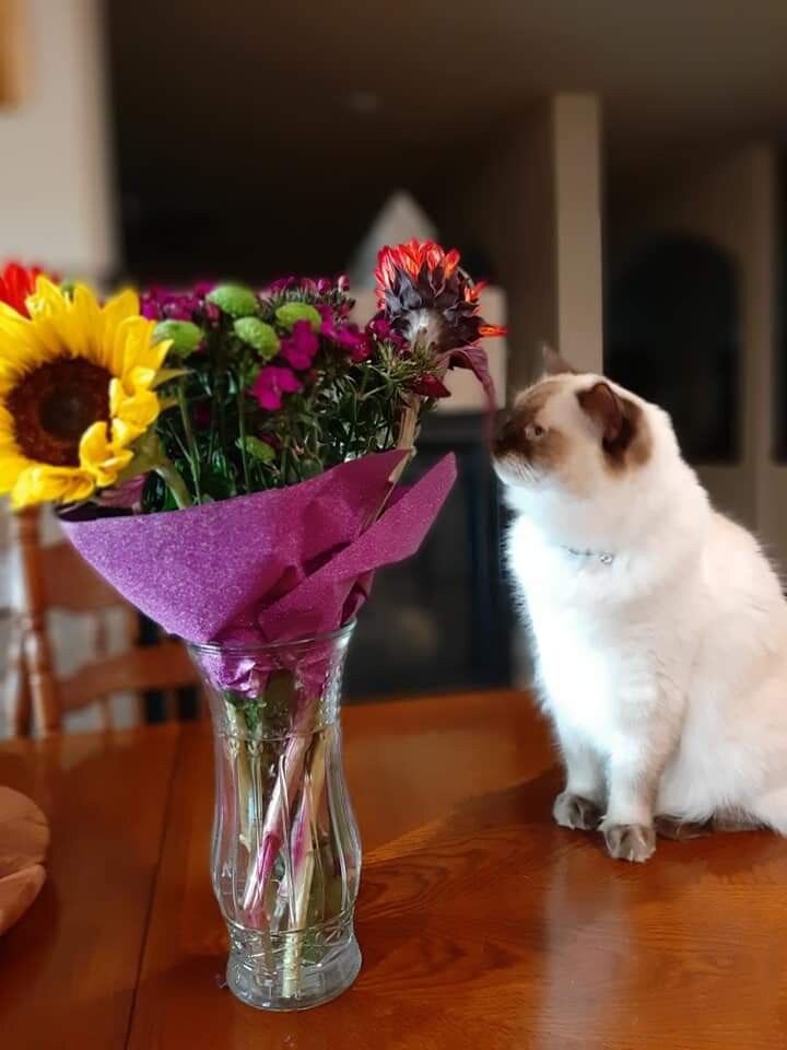 For me?