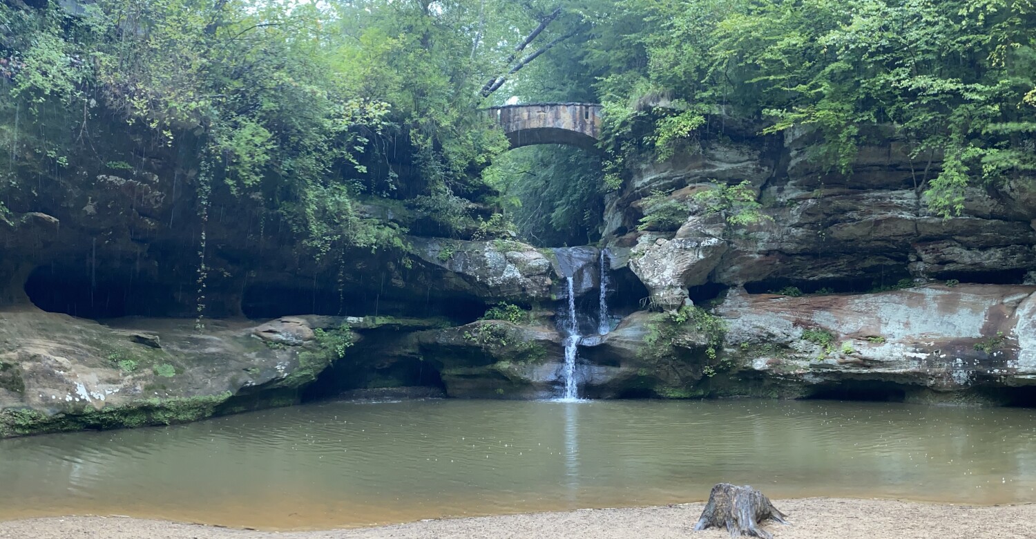 Peaceful rainy day in the woods