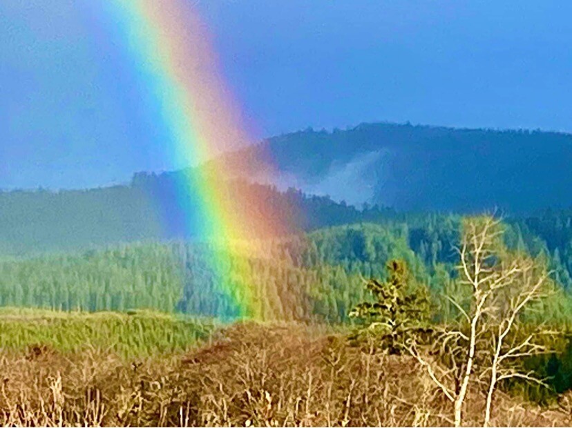 Oregon Coastal Range rainbow.