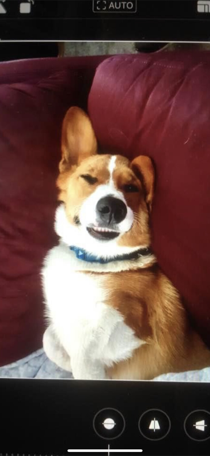 Tylee Carter Ditzler