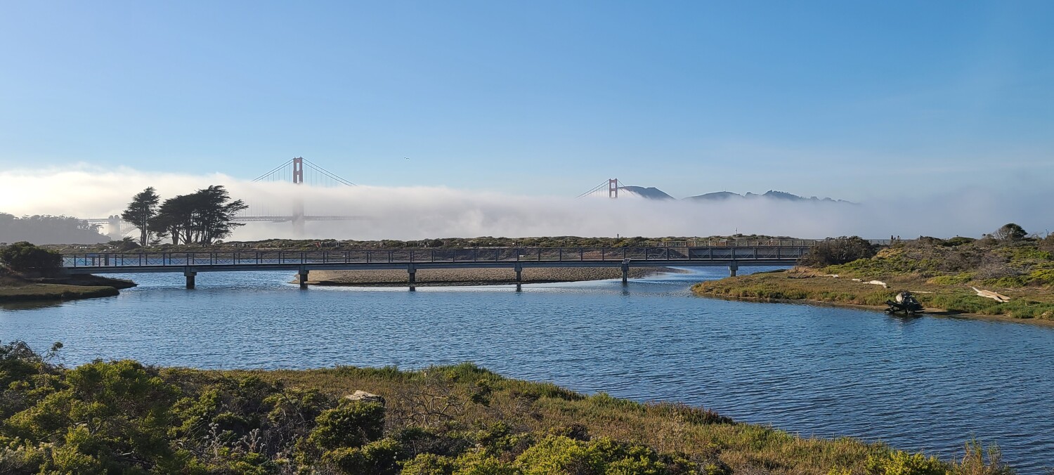 Golden Gate cover by fog