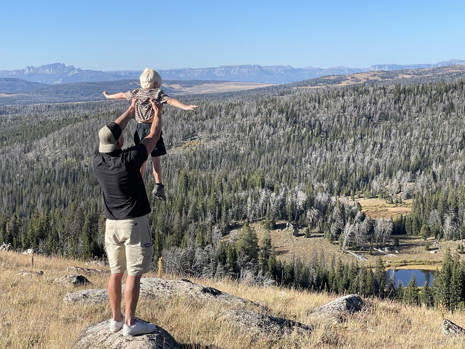 Everything the light touches is our kingdom.