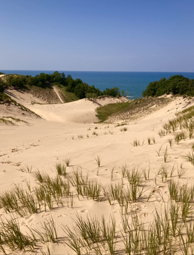 Solitude in the Dunes