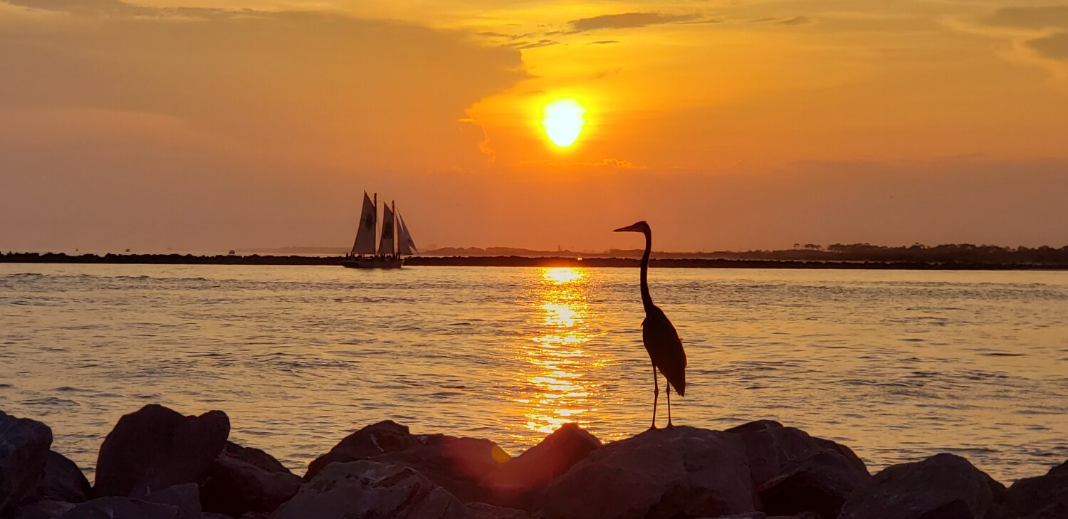 Waiting for My Ship to Come In