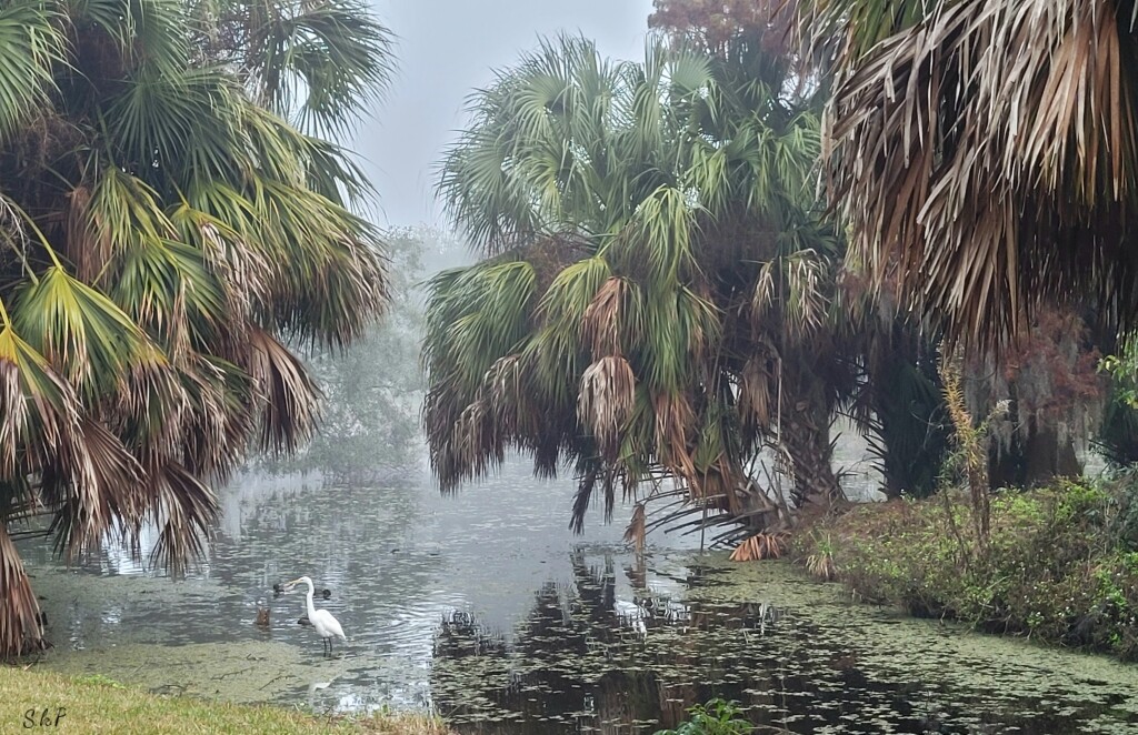 Bayou Metairie Lagoon