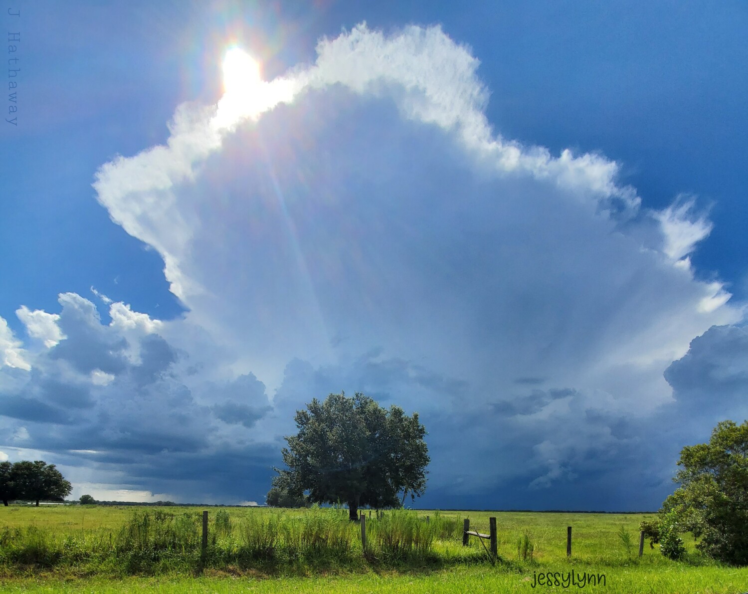 This is real Florida