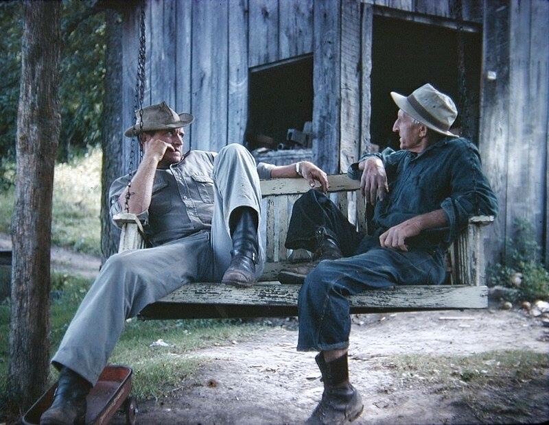 Tales from the hollow