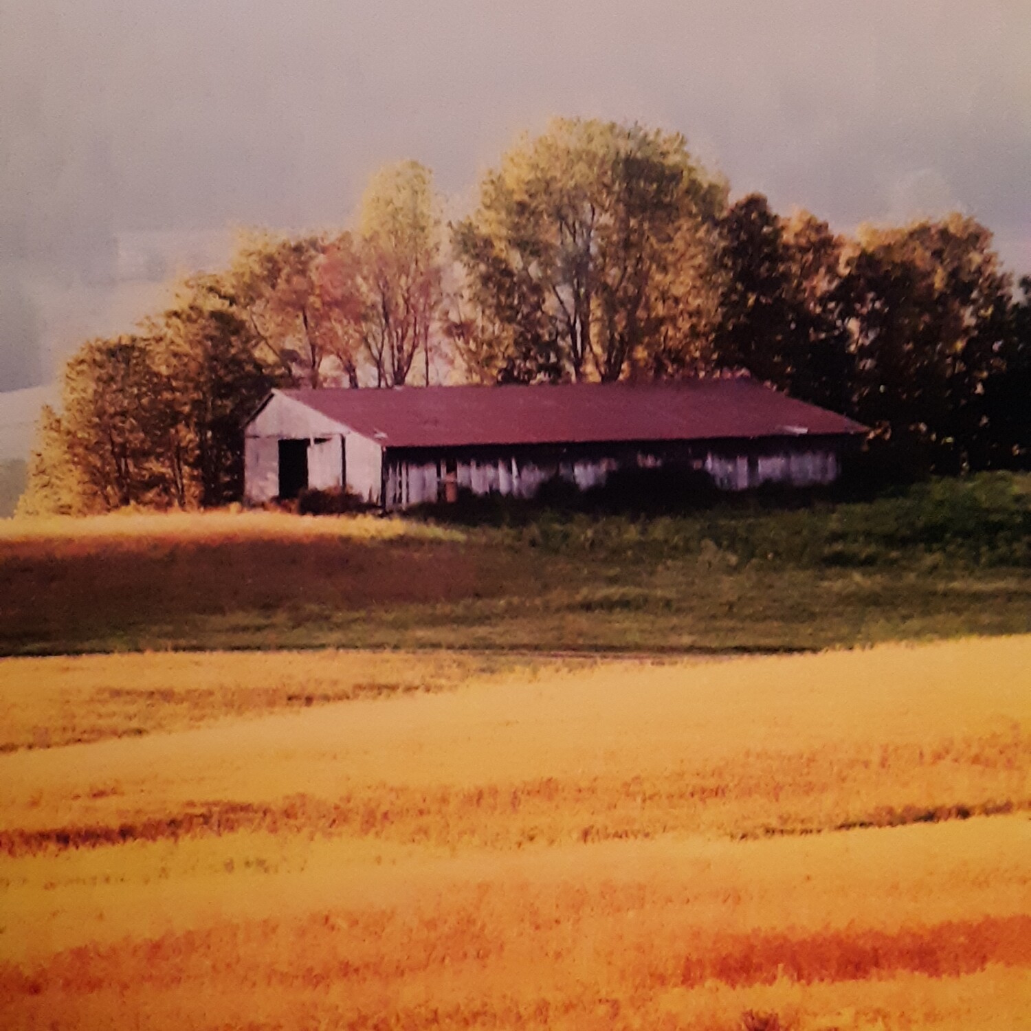 Old Barn at Sunset