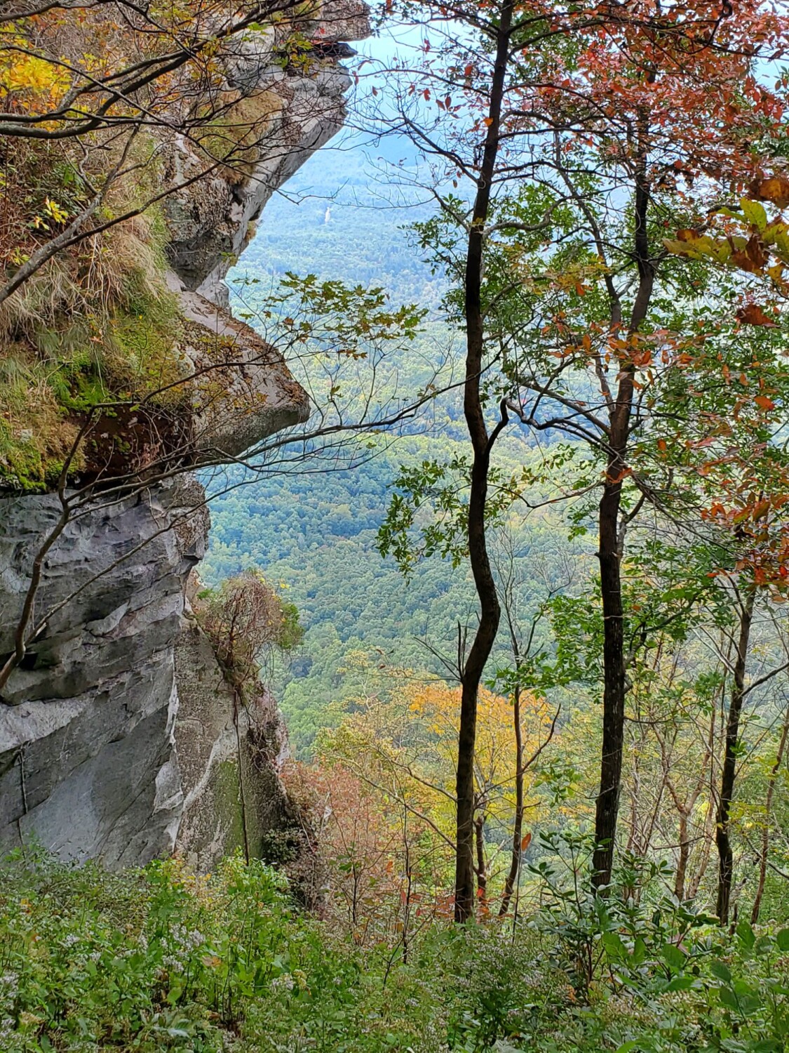 North Carolina Vacation