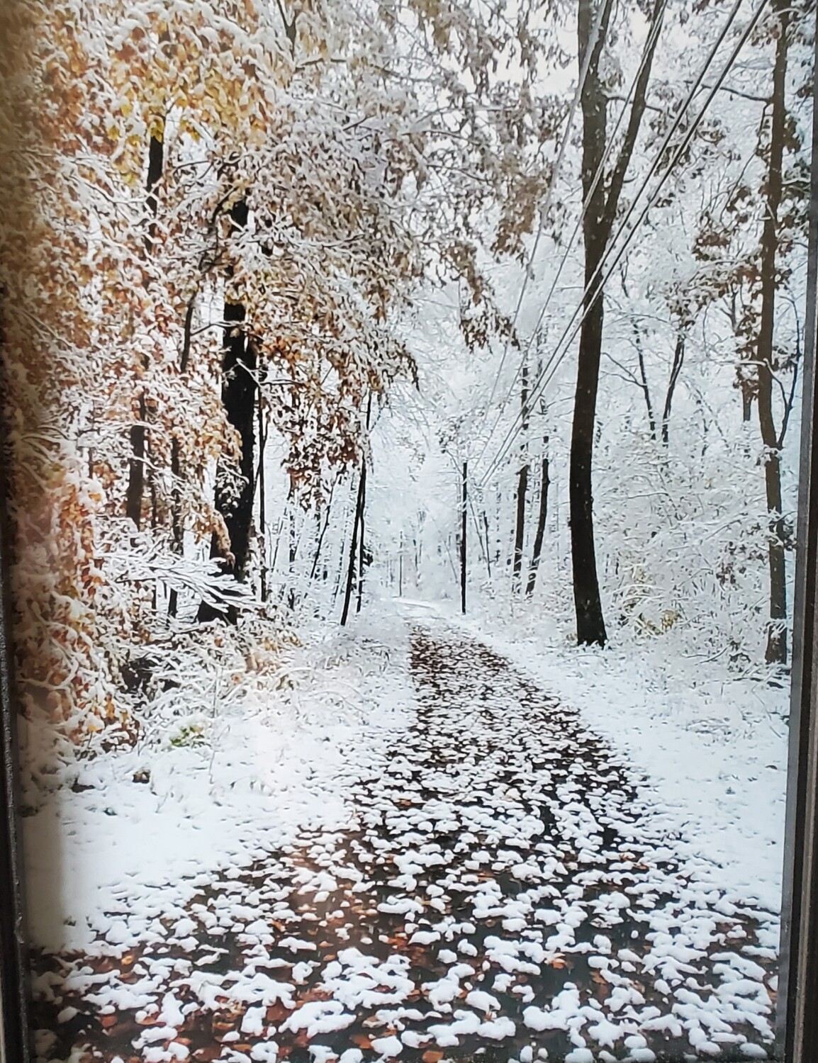 Autumn snow