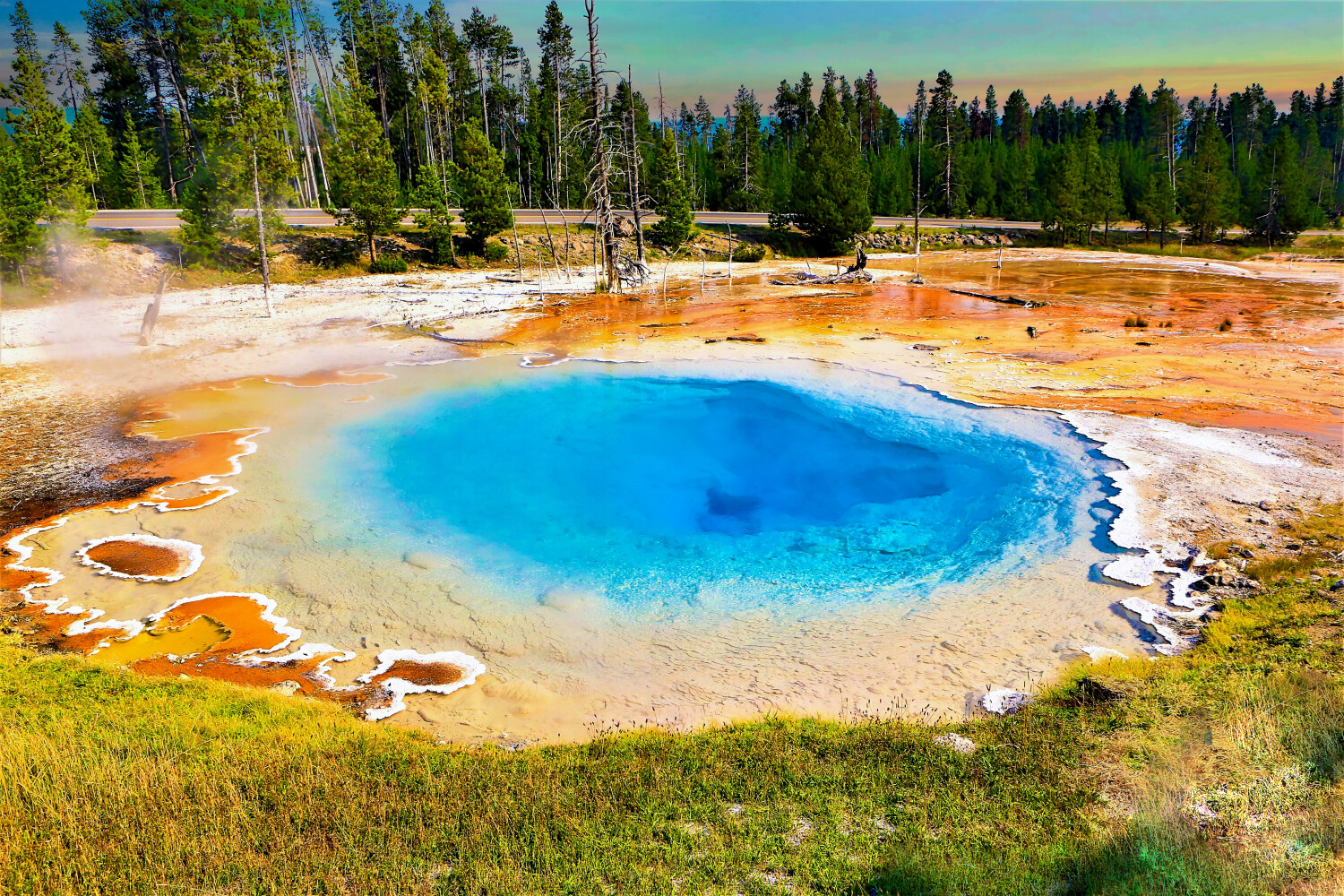 Geyser Basin