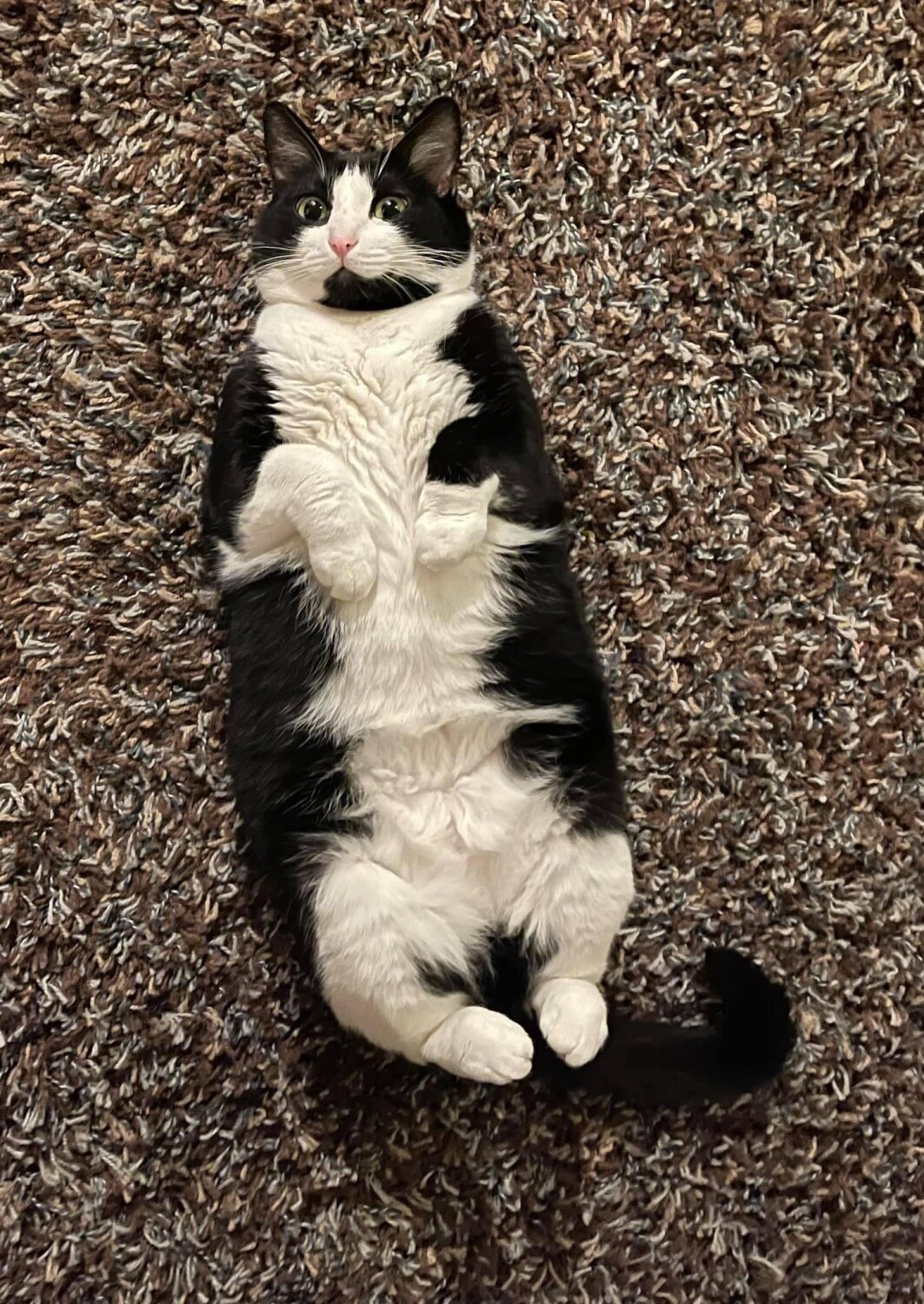 Where’s my snacks?