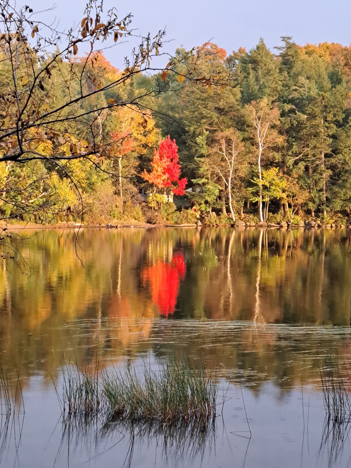 Autumn Lake