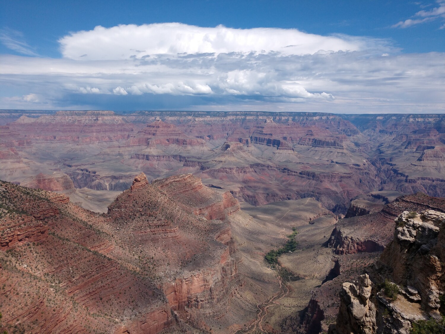 The Grand Canyon