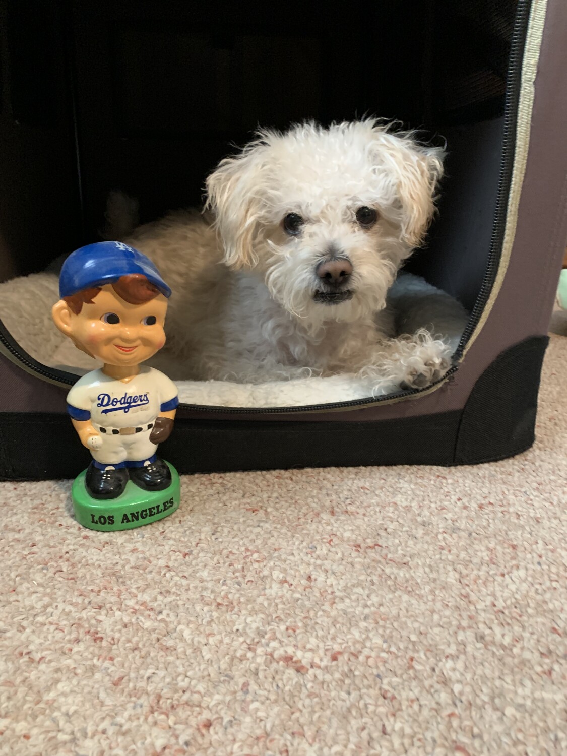 Greatest team ever and bestest dog!!!