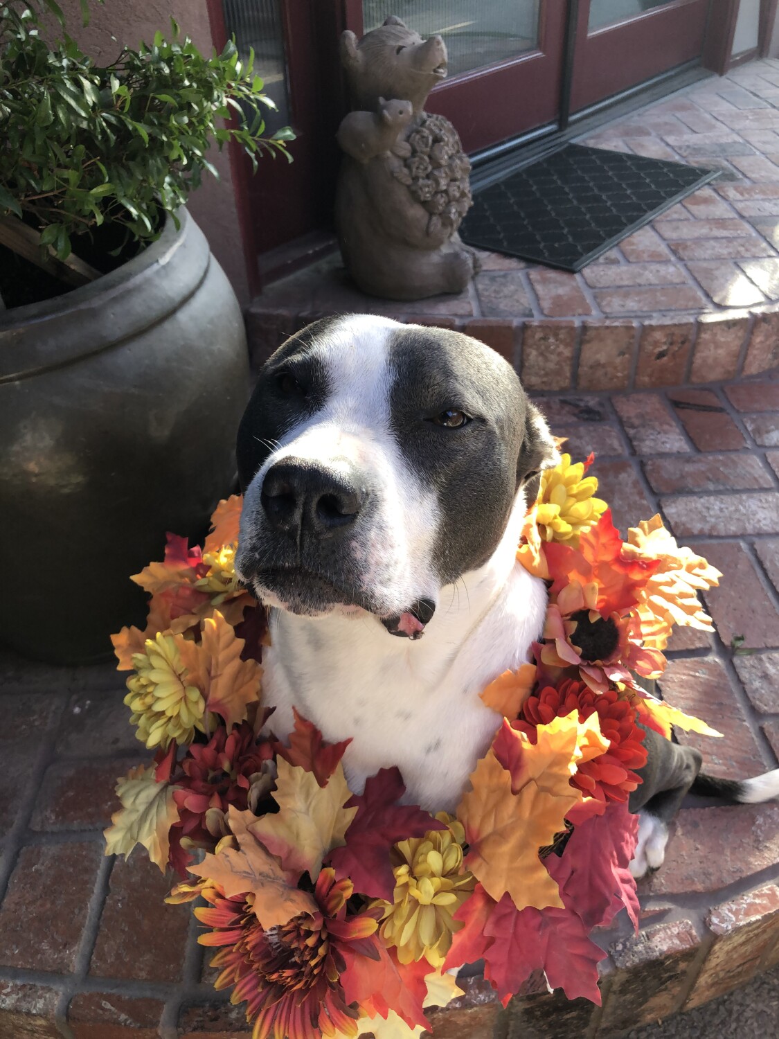 Happy Fall Ya’ll