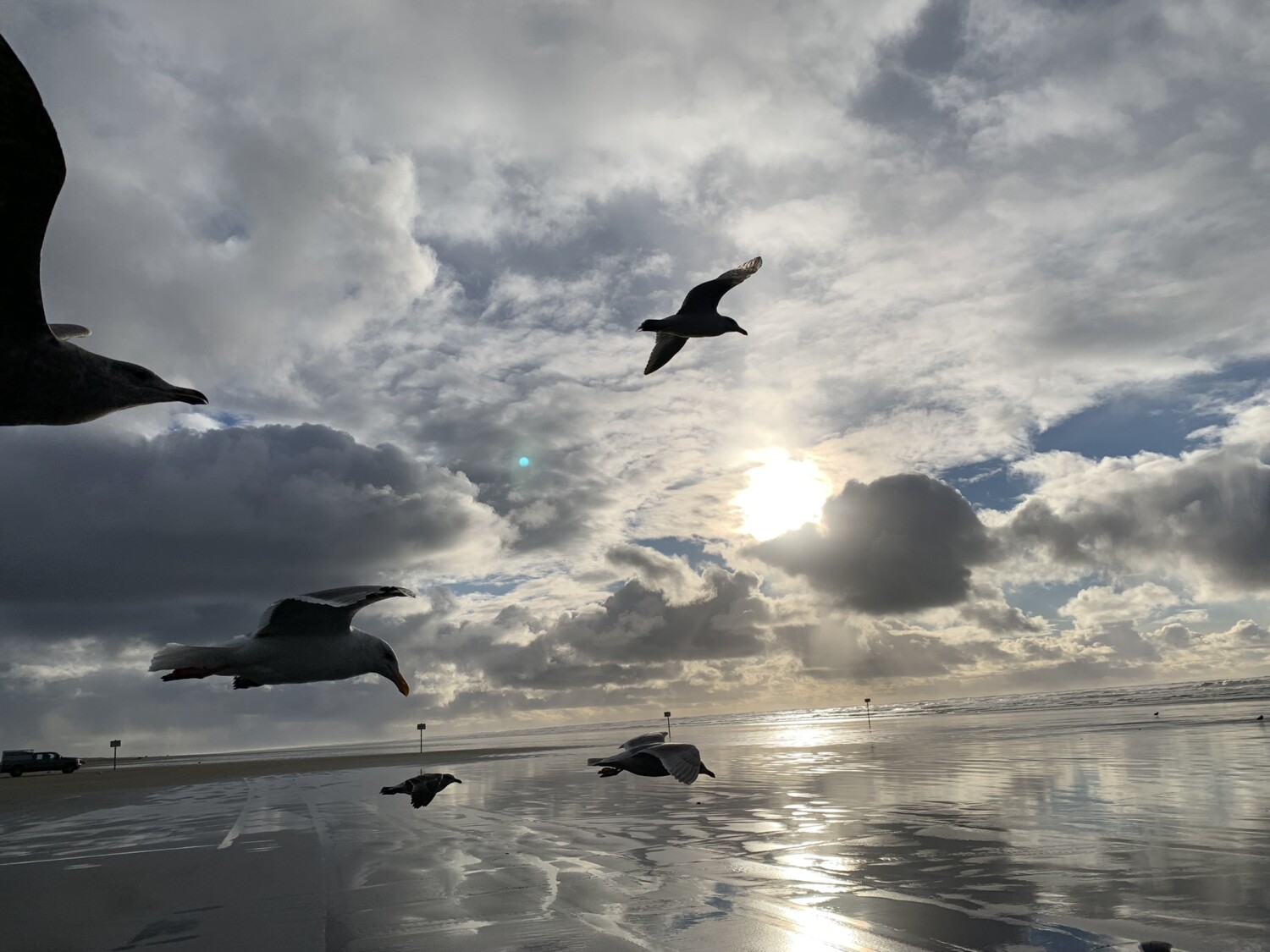 God's Shimmering Beauty