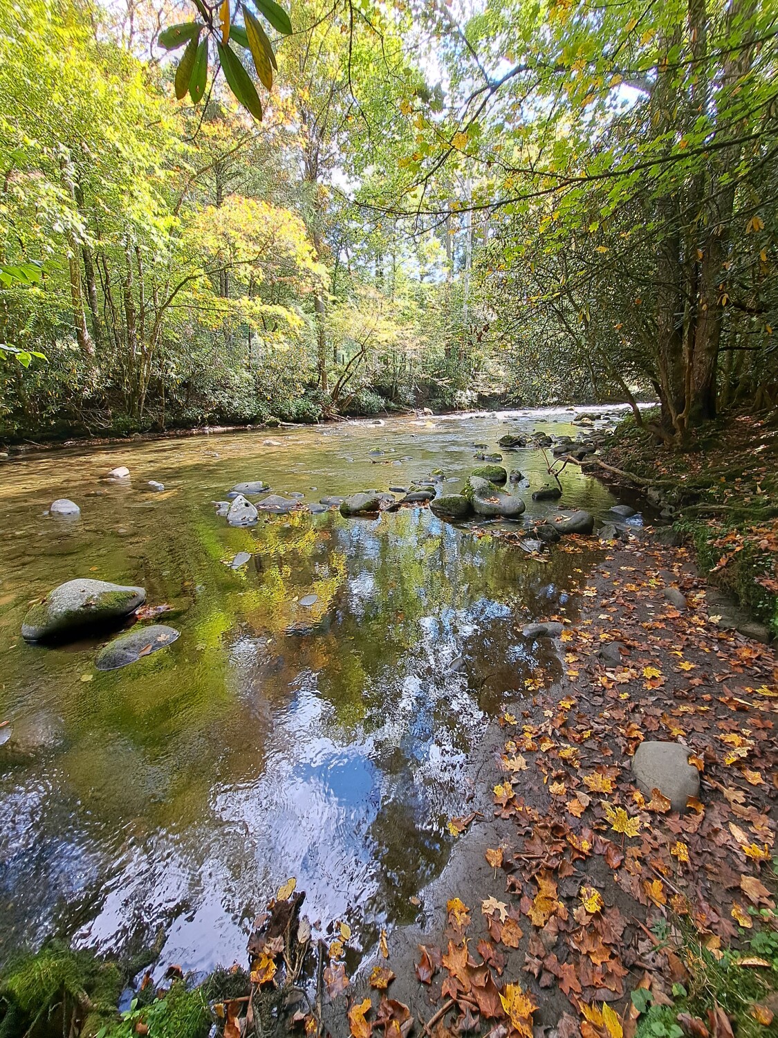 Peace Within the Creek