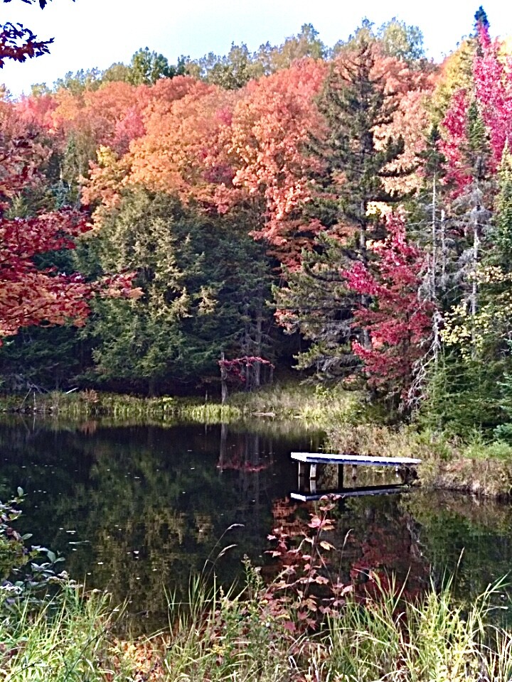 Serene Autumn