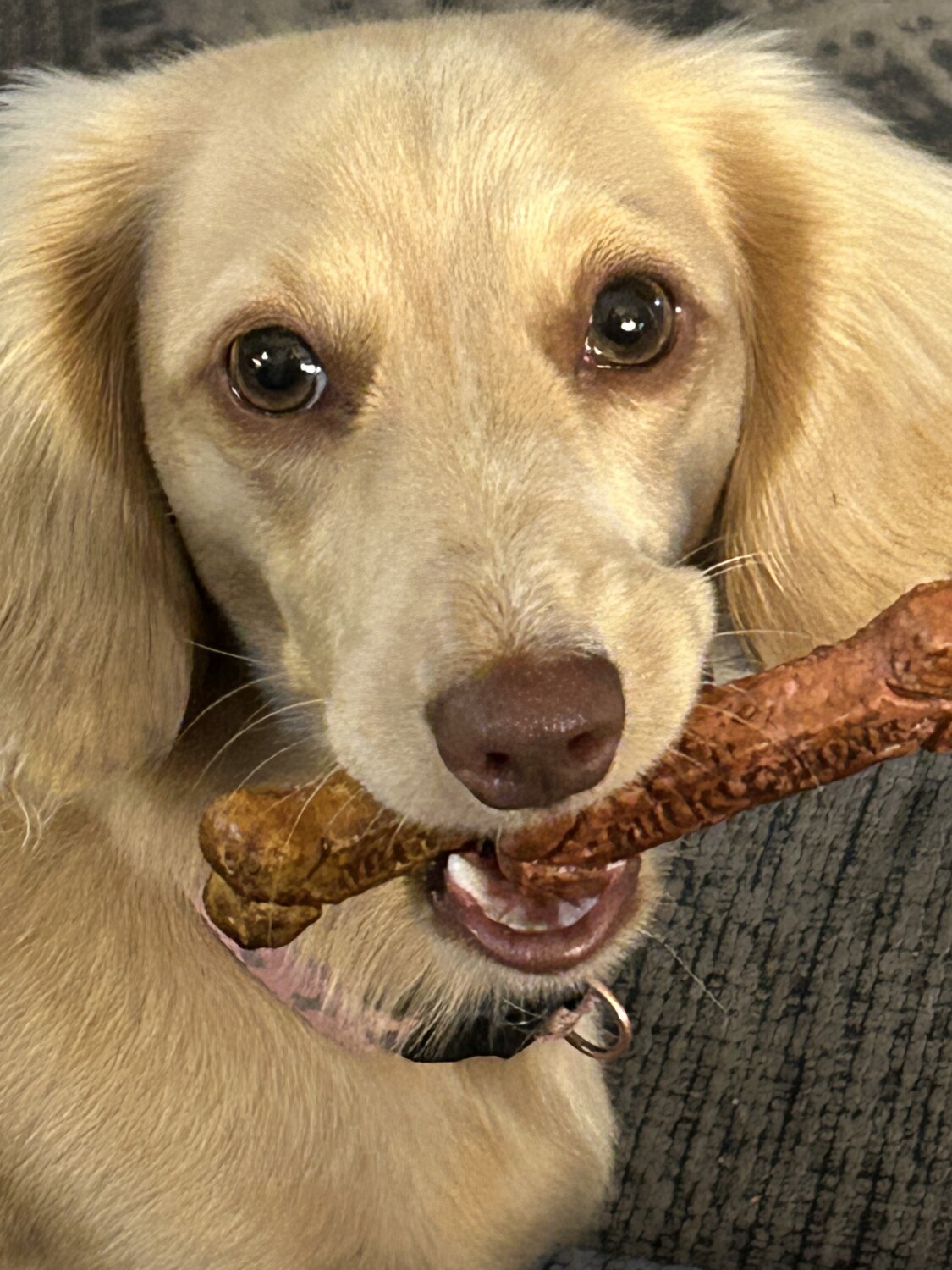 Suzie’s 1st Birthday.